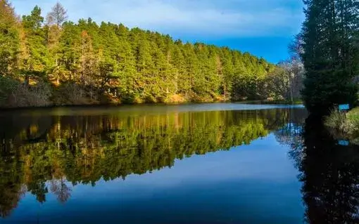 Millbuies Country Park