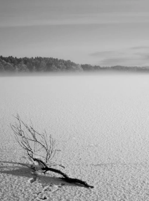 Moray Snow | Gallery | Best Of Moray