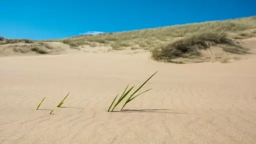 East Beach | Tour 2 | Moray Visitor Guide